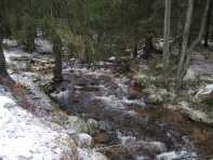 Brocken Harz (13)