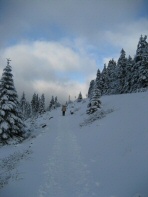 Brocken Harz (1)