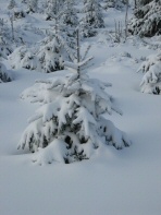 Brocken Harz (2)