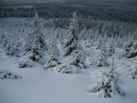 Brocken Harz (3)