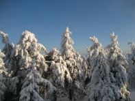 Brocken Harz (8)