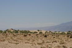 Death Valley (1)
