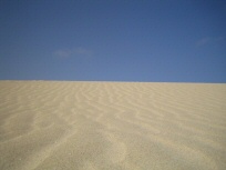 Duenen von Corralejo