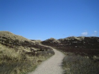 Duenenlandschaft Sylt