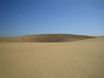 Dunas de Maspalomas 3