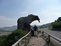 Elefant Sardinien