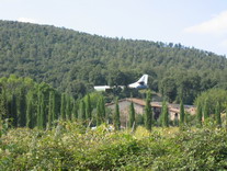 Gartenkunst