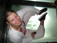 Glassfloor 2