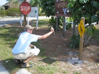 Golf Florida (4)