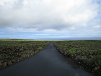 Gruene Insel Lanzarote