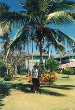 Hotel1