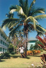 Hotel2