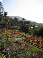 Jardim Botanico 2