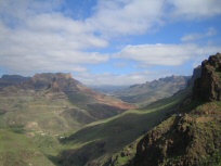 Landscape 1