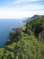 Landscape 102