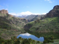 Landscape 3