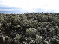 Lavabrocken