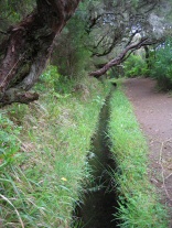 Levada 3