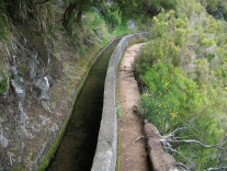 Levada 5