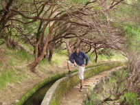 Levada 6
