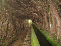 Levada 7