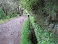 Levada 9