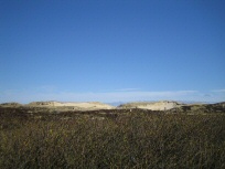 Listland
