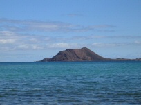Los Lobos 1