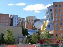MIT Campus