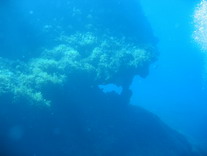 MaltaDive11