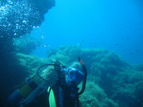 MaltaDive12