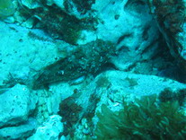 MaltaDive22