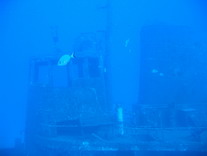 MaltaDive9