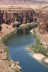 Marble Canyon Colorado River