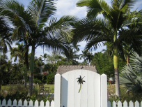 Naples Palms (1)