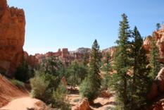 Navajo Loop Bryce Canyon (3)