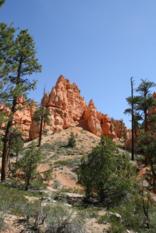 Navajo Loop Bryce Canyon (6)