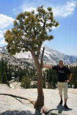 Olmsted Point Yosemite (2)
