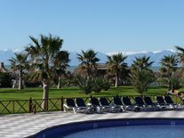 Palmen am Pool Voyage Belek