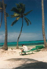 Palms_Susi3