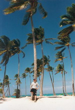 Palms_Tom