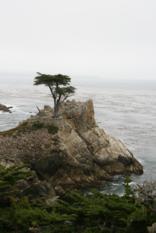 Peeble Beach