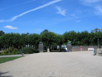 Plantanen3