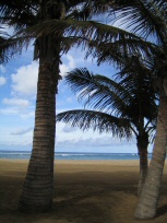 Playa de las Canteras 1