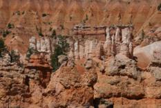 Queens Garden Trail Bryce Canyon (7)