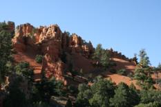 Red Canyon UT