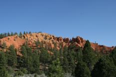 Red Canyon Utah