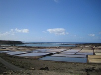 Salinas de Janubio