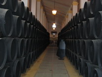 Sandeman03