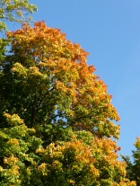 Sans Soucis Park